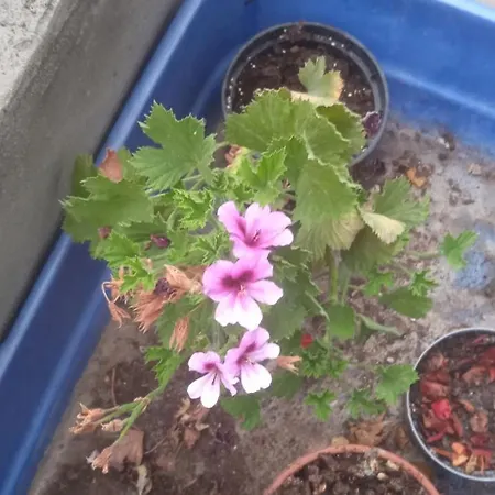 Apartment Charming With Views